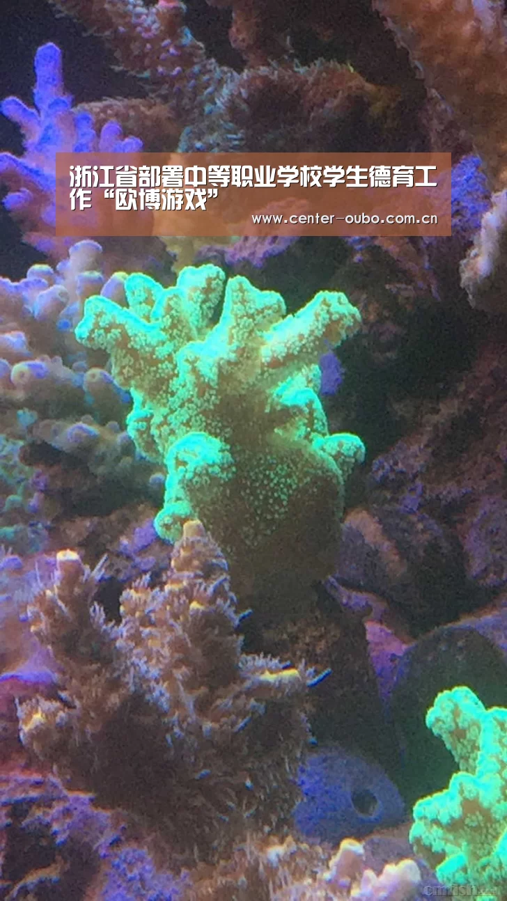 欧博游戏