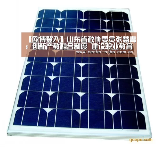 【欧博登入】山东省政协委员张慧青:创新产教融合制度 建设职业教育创新发展高地(图1) 欧博